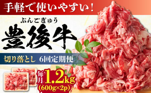 【全6回定期便】【大容量パック！】 おおいた豊後牛 牛肉 切り落とし 1.2kg (600g×2) 日田市 / 株式会社MEAT PLUS　肉 牛肉 和牛 [AREI048] 1921227 - 大分県日田市