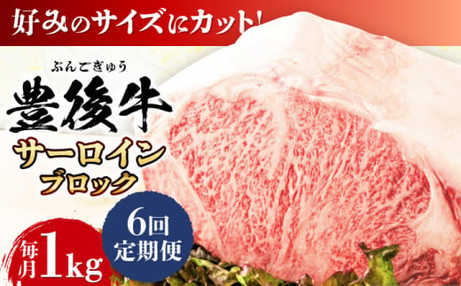 【全6回定期便】【厳選部位】おおいた豊後牛 サーロイン ブロック 1kg 日田市 / 株式会社MEAT PLUS　牛 うし 黒毛和牛 和牛 豊後牛 [AREI105] 1921284 - 大分県日田市