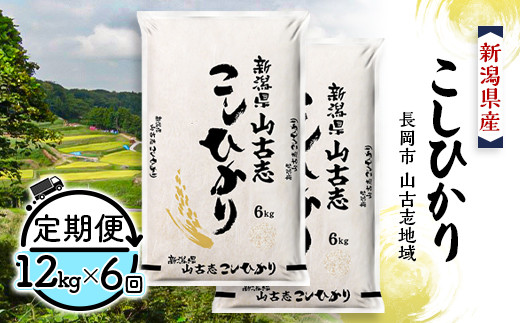 75-BY126【6ヶ月連続お届け】新潟県長岡産コシヒカリ山古志地域棚田米12kg 217348 - 新潟県長岡市
