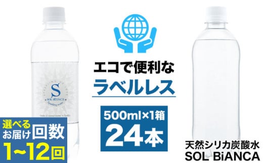 [選べる配送回数][先行予約・2月以降発送]シリカ炭酸水 ソルビアンカ ラベルレス 500ml×24本 日田市 / 株式会社OTOGINO 炭酸 飲料 水 [AREF065-145]