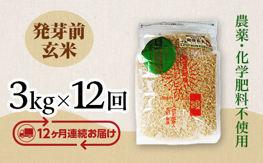 E1-H03Z【12ヶ月連続お届け】新潟県長岡産コシヒカリ 発芽前玄米 3kg 657554 - 新潟県長岡市