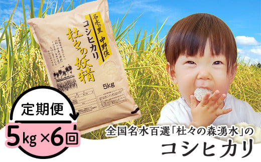43-12【6ヶ月連続お届け】杜々の妖精コシヒカリ5kg（全国名水百選栃尾産） 232281 - 新潟県長岡市