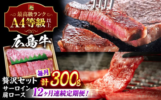 【全12回定期便】広島 和牛 贅沢セット 300g （肩ロース 焼肉用 150g サーロイン 150g） 三次市 / 広島三次ワイナリー [APAZ076]