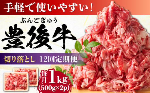 【全12回定期便】【期間限定】 小分けで便利！おおいた豊後牛 牛肉 切り落とし 1kg (500g×2)  日田市 / 株式会社MEAT PLUS　肉 牛肉 和牛 [AREI046] 1921225 - 大分県日田市