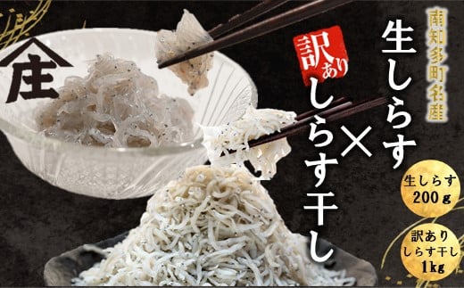 生しらす 200g 訳ありしらす干し 1kg セット 冷凍 刺身 真空パック しらす干し 炒飯 パスタ ごはん 丼 サラダ 魚 料理 愛知県 南知多町 師崎 シラス しらす 小魚 魚貝 魚貝類 しらす シラス 海鮮 しらす丼 シラス丼 ふるさと納税しらすしらす おすすめ 大人気 南知多産しらす愛知県産しらす  1918148 - 愛知県南知多町