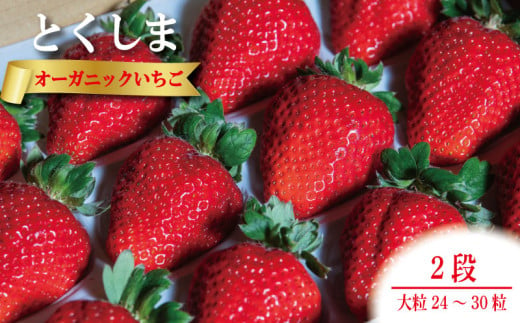 いちご 苺 大粒24から30粒 1月発送 2段箱 オーガニック 高級 あま 甘い 果物 フルーツ デザート 赤 お歳暮 ギフト 箱 贈答 プレゼント 自宅 旬 スイーツ クリスマス ケーキ ベリー ミルク 先行予約 年 日 品種 有機JAS ふるさと 徳島 とくしまオーガニックいちご大粒2段箱