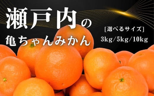 [今期分発送開始] 瀬戸内の亀ちゃんみかん 3kg/5kg/10kg 選べるサイズ 国産 瀬戸内 広島 大崎上島 離島 糖度 濃厚 柑橘 ミカン たっぷり お裾分け 産地直送 亀田農園