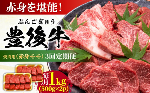 【全3回定期便】おおいた豊後牛 赤身モモ 焼肉用 1kg(500g×2P) 日田市 / 株式会社MEAT PLUS　牛 うし 黒毛和牛 和牛 豊後牛 [AREI095]