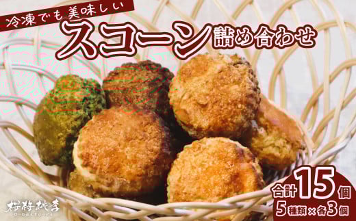 冷凍スコーン 5種15個セット(抹茶・チョコ・紅茶・スイート・ほうじ茶) | スコーン 冷凍スコーン 抹茶スコーン チョコスコーン 紅茶スコーン スイートスコーン ほうじ茶スコーン 抹茶 紅茶 スイート ほうじ茶 チョコ チョコレート カカオ 手作り お菓子 セット 詰合せ 洋菓子 お菓子 カフェ お茶菓子 本格 桜梅桃李 埼玉県 草加市