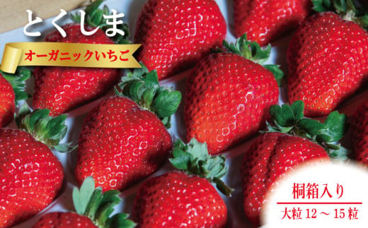 いちご 苺 大粒12から15粒 1月発送 桐箱入り オーガニック 高級 あま 甘い 果物 フルーツ デザート 赤 お歳暮 ギフト 箱 贈答 プレゼント 自宅 旬 スイーツ クリスマス ケーキ ベリー ミルク 先行予約 年 日 品種 有機JAS ふるさと 徳島 とくしまオーガニックいちご大粒12から15粒桐箱入り