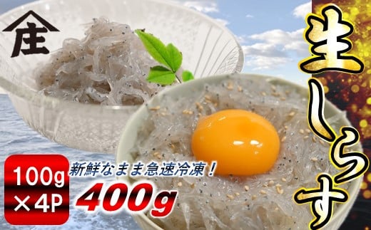 生しらす 400g ( 100g × 4袋 ) 冷凍 刺身 真空パック ごはん 丼 サラダ 魚 料理 愛知県 南知多町 師崎 シラス しらす 小魚 魚貝 魚貝類 しらす シラス 海鮮 しらす丼 シラス丼 ふるさと納税しらすしらす おすすめ 大人気 南知多産しらす愛知県産しらす  1918110 - 愛知県南知多町