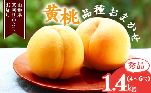 《先行予約》山形の黄桃 秀品 1.4kg（4 - 6玉） 品種おまかせ 秀品 山形県産【8月中旬頃から9月下旬頃発送予定】010-B-MM071 1317496 - 山形県寒河江市