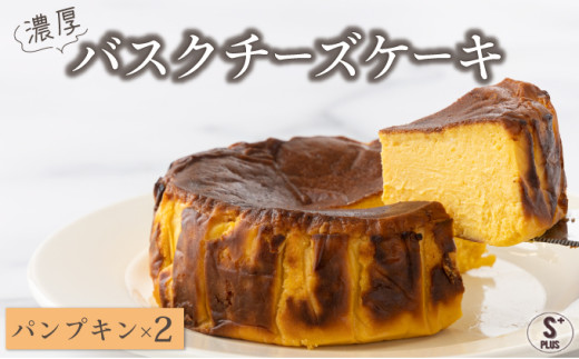 濃厚バスクチーズケーキ パンプキン×2 B-903