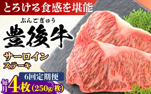 【全6回定期便】おおいた豊後牛 サーロインステーキ 1kg (250g×4枚) 日田市 / 株式会社MEAT PLUS　肉 牛肉 和牛 [AREI060] 1921239 - 大分県日田市