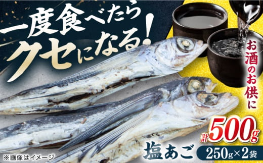 【お酒のお供に！】塩あご250g×2パック 平戸市 / 森崎水産 [KAD305]