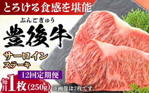 【全12回定期便】おおいた豊後牛 サーロインステーキ 250g (250g×1枚) 日田市 / 株式会社MEAT PLUS　肉 牛肉 和牛 [AREI055] 1921234 - 大分県日田市