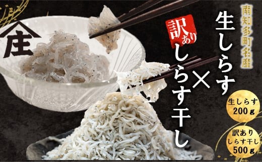 生しらす 200g 訳ありしらす干し 500g セット 冷凍 刺身 真空パック しらす干し 炒飯 パスタ ごはん 丼 サラダ 魚 料理 愛知県 南知多町 師崎 シラス しらす 小魚 魚貝 魚貝類 しらす シラス 海鮮 しらす丼 シラス丼 ふるさと納税しらすしらす おすすめ 大人気 南知多産しらす愛知県産しらす  1918147 - 愛知県南知多町