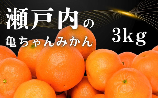 [11〜2月発送] 瀬戸内の亀ちゃん みかん 約3kg 国産 瀬戸内 広島 大崎上島 離島 糖度 濃厚 柑橘 たっぷり お裾分け 産地直送 亀田農園