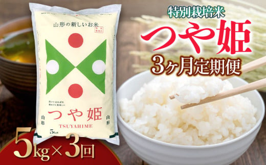 【令和6年産】 【3ヶ月定期便】特別栽培米 つや姫 精米5kg×3回 計15kg 山形県 庄内産　米食味鑑定士お薦め