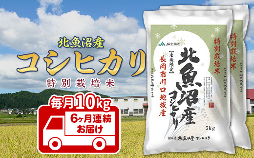 AT10-6【6ヶ月連続お届け】北魚沼産コシヒカリ特別栽培米10kg（長岡川口地域） 223469 - 新潟県長岡市