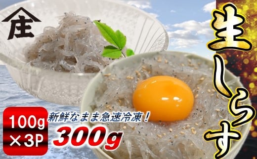 生しらす 300g ( 100g × 3袋 ) 冷凍 刺身 真空パック ごはん 丼 サラダ 魚 料理 愛知県 南知多町 師崎 シラス しらす 小魚 魚貝 魚貝類 しらす シラス 海鮮 しらす丼 シラス丼 ふるさと納税しらすしらす おすすめ 大人気 南知多産しらす愛知県産しらす 1918109 - 愛知県南知多町