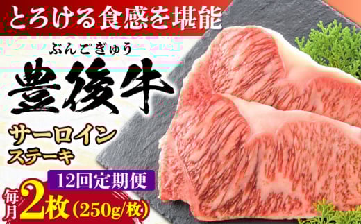 【全12回定期便】おおいた豊後牛 サーロインステーキ 500g (250g×2枚) 日田市 / 株式会社MEAT PLUS　肉 牛肉 和牛 [AREI058] 1921237 - 大分県日田市