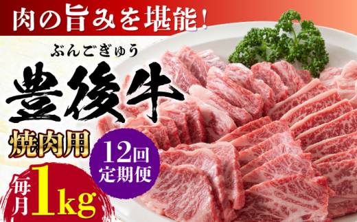 【全12回定期便】おおいた豊後牛 焼肉用 1kg(500g×2P) 日田市 / 株式会社MEAT PLUS 牛肉 おおいた豊後牛 おおいた 豊後牛 黒毛和牛 国産  焼肉 焼肉用 [AREI103]
