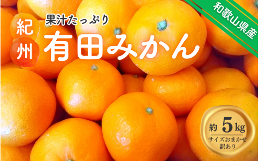 紀州有田みかん 訳あり 約5kg キズ ご家庭用 サイズ混合　※2024年12月上旬頃より順次発送予定　※北海道・沖縄・離島配送不可【sml130A】 1361994 - 和歌山県古座川町