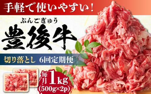 【全6回定期便】【期間限定】 小分けで便利！おおいた豊後牛 牛肉 切り落とし 1kg (500g×2)  日田市 / 株式会社MEAT PLUS　肉 牛肉 和牛 [AREI045] 1921224 - 大分県日田市