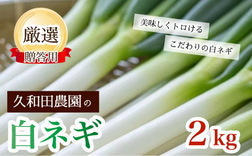 久和田農園 白ネギ ご贈答用 2kg 期間限定 野菜 ネギ 長ねぎ 広島県 三原市 034013