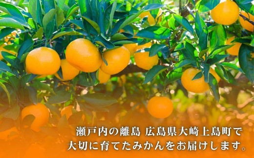 広島県大崎上島町のふるさと納税 [今期分発送開始] 瀬戸内の亀ちゃんみかん 約10kg 国産 瀬戸内 広島 大崎上島 離島 糖度 濃厚 柑橘 たっぷり お裾分け 産地直送 亀田農園