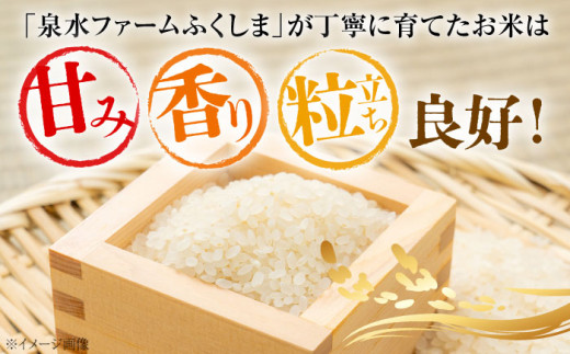 お米 ご飯 白米 おにぎり 米 コシヒカリ 10kg こしひかり 精米 おこめ おいしいお米 送料無料 国産 広島県産 三次市