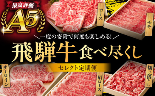 飛騨牛 ひだぎゅう サーロイン ロース モモ 切り落とし ステーキ すきやき しゃぶしゃぶ