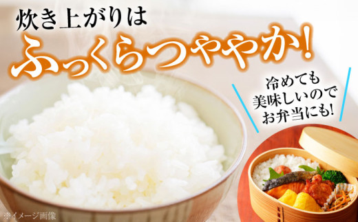 朝霧育ちの至極の一粒。三次のふっくらコシヒカリ3kg 贈答 ギフト 8000円