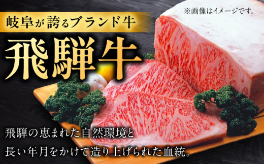 飛騨牛 ひだぎゅう サーロイン ロース モモ 切り落とし ステーキ すきやき しゃぶしゃぶ