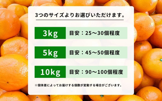 広島県大崎上島町のふるさと納税 [今期分発送開始] 瀬戸内の亀ちゃんみかん 約10kg 国産 瀬戸内 広島 大崎上島 離島 糖度 濃厚 柑橘 たっぷり お裾分け 産地直送 亀田農園