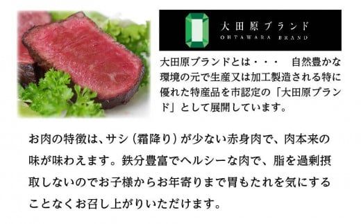 栃木県大田原市のふるさと納税 【大田原 前田牧場直送】骨付きステーキ 850g以上 | ブランド牛 牛肉 Tボーン ステーキ 産地直送 産直