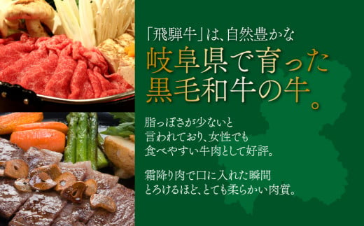 岐阜県垂井町のふるさと納税 A5飛騨牛　サーロイン厚切りステーキ　1枚500ｇ