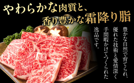 飛騨牛 ひだぎゅう サーロイン ロース モモ 切り落とし ステーキ すきやき しゃぶしゃぶ