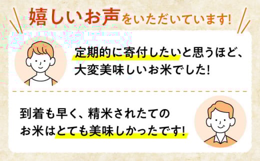 お米 ご飯 白米 おにぎり 米 コシヒカリ 10kg こしひかり 精米 おこめ おいしいお米 送料無料 国産 広島県産 三次市