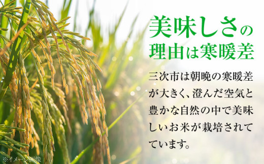 朝霧育ちの至極の一粒。三次のふっくらコシヒカリ3kg 贈答 ギフト 8000円