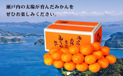 広島県大崎上島町のふるさと納税 [今期分発送開始] 瀬戸内の亀ちゃんみかん 約3kg 国産 瀬戸内 広島 大崎上島 離島 糖度 濃厚 柑橘 たっぷり お裾分け 産地直送 亀田農園