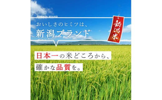 新潟県見附市のふるさと納税 R6年産 無洗米 新潟県産 コシヒカリ 2kg