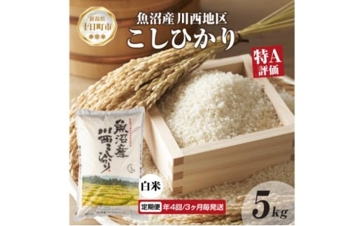 定期便 年4回3ヵ月毎 魚沼産 川西 こしひかり 5kg 精米 米 コメ お米 ごはん ご飯 白米 炊き立て ブランド米 コシヒカリ 魚沼 人気 国産 産地直送 お取り寄せ 送料無料 新潟県 十日町 1926769 - 新潟県十日町市