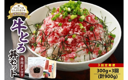 【3回定期便】人気の牛とろ丼セット 300g 専用タレ付き_S006-0063 1937593 - 北海道清水町