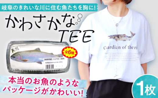 魚好きの人へ！かわさかなTEE Tシャツ 【天然あゆの塩焼き Lサイズ】 岐阜市 / スポット [ANGD001-14] 1926333 - 岐阜県岐阜市