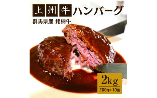 【173】上州牛ハンバーグ 2kg(200g×10個) 491003 - 群馬県みどり市