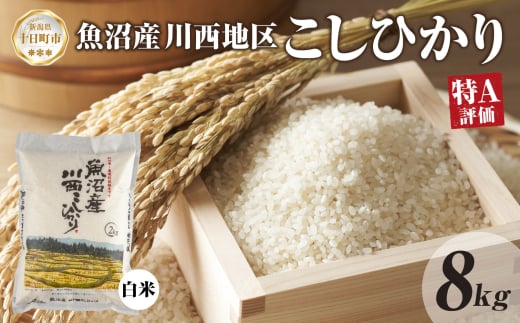 魚沼産 川西 こしひかり 8kg 精米 米 コメ お米 ごはん ご飯 白米 おにぎり 炊き立て ブランド米 コシヒカリ 新潟県産 魚沼 人気 国産 産地直送 お取り寄せ 送料無料 新潟県 十日町 1926765 - 新潟県十日町市