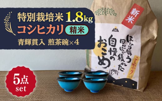 【令和6年産新米】 精米 コシヒカリ 特別栽培米 （1.8kg）+ 【美濃焼】 青輝貫入 煎茶碗 （4個） 【山松加藤松治郎商店】 [TEU061] 1921545 - 岐阜県多治見市