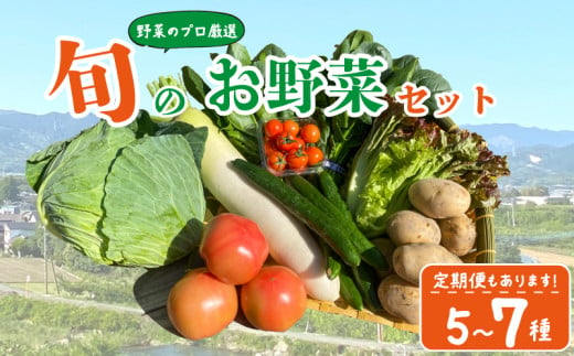 野菜 セット 5~7品目 詰合せ セット 定期便 旬 新鮮 季節の野菜 野菜 やさい なすび ブロッコリー キャベツ 白菜 レタス サニーレタス ほうれん草 きゅうり ピーマン とうもろこし トマト ミニトマト 大根 絹さやえんどう インゲン豆 玉ねぎ じゃがいも すだち BBQ アウトドア ギフト プレゼント 贈答 お取り寄せ グルメ 産地直送 送料無料 阿波市 徳島県 ヨコタコーポレーション